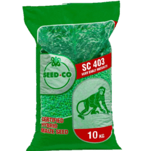 SC 403 10Kg