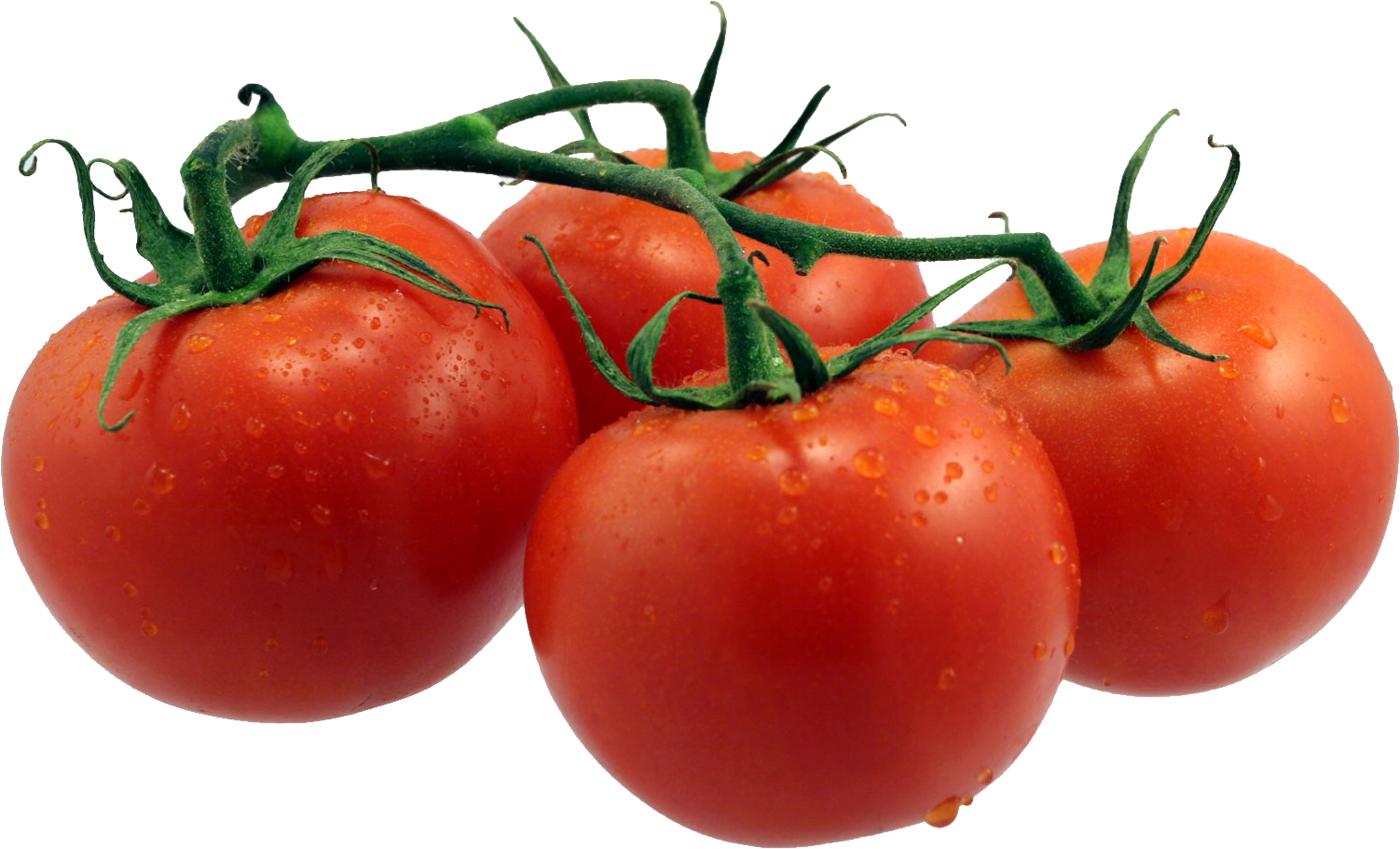 TOMATO PNG