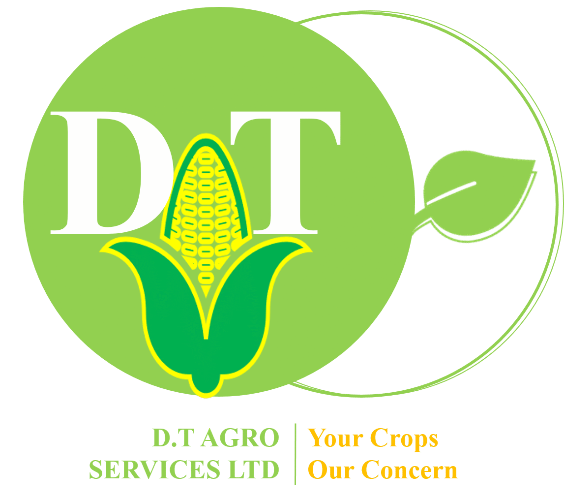 D.T NEW LOGO PNG