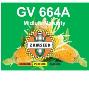 GV 664A-10Kg
