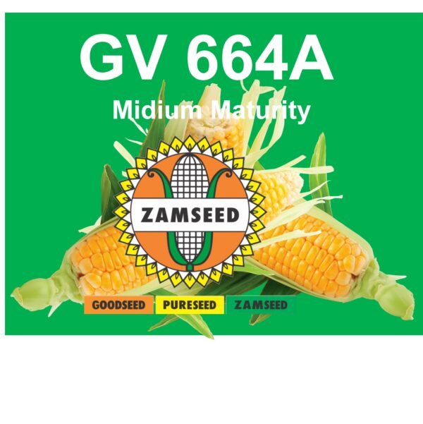 GV 664A-2Kg
