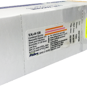 VH+H-120-Newcastle-500 doses