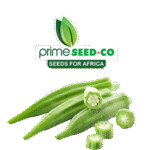 Okra-Clemson-Spineless-1.png