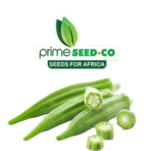 Primeseedco-Okra Clemson Spineless-25g