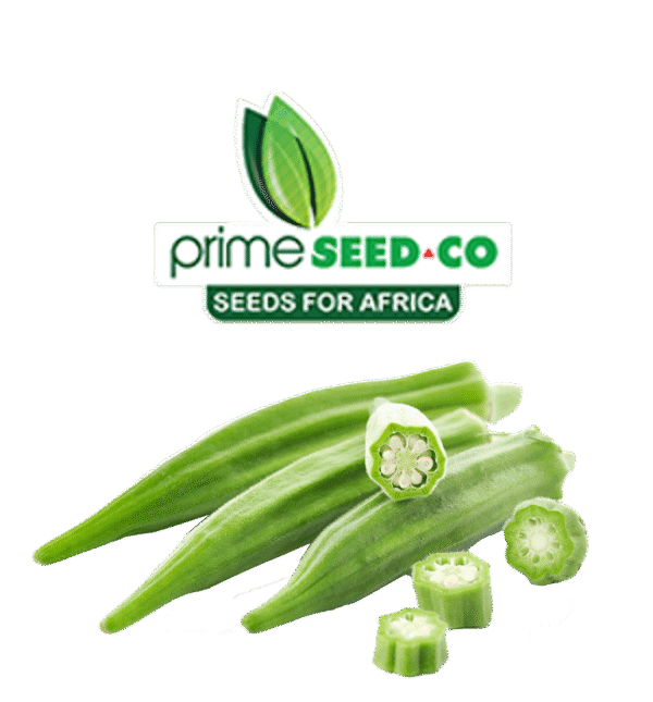 Primeseedco-Okra Clemson Spineless-10g