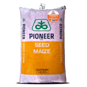 Pioneer 30G19-10Kg