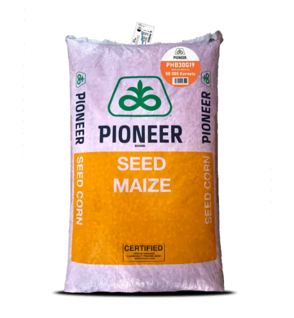 Pioneer 30G19-10Kg