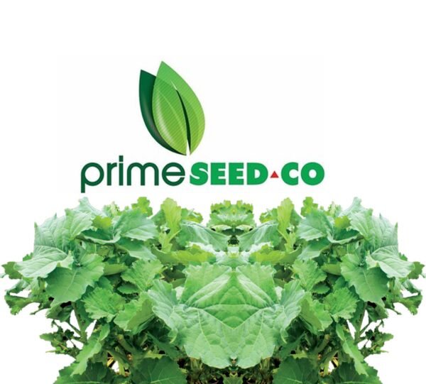 Primeseedco-Rape Rampart-10g