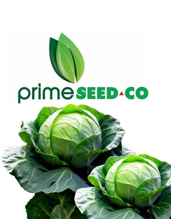 Primeseedco-Cabbage Copenhagen Market(CH)-10g