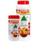 SHUMBA-PLUS.jpg