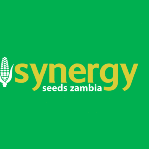 SY 6250-10Kg