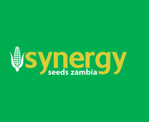 SY 6250-10Kg