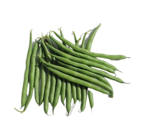 Garden beans(Tahoe)-HTF