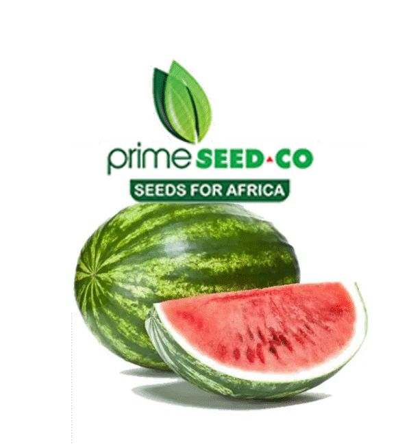 Watermelon Crimson Sweet-100g