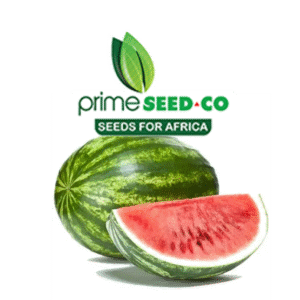 Watermelon crimson sweet 10g