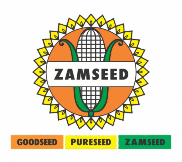 Onion Red Creole 25g-ZMS