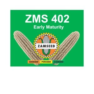 ZMS 402-10Kg