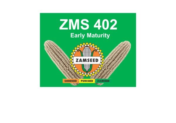 ZMS 402-10Kg