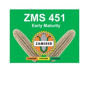 ZMS 451-10Kg