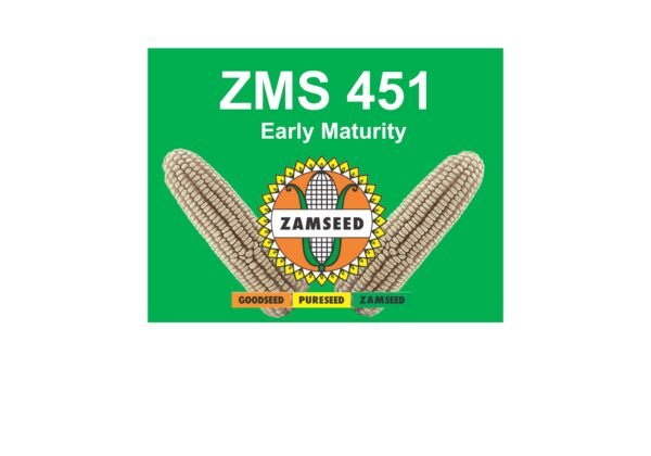 ZMS 451-25Kg