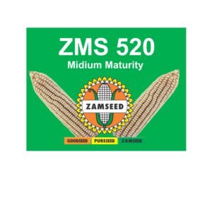 ZMS 520-2Kg