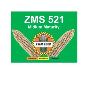 ZMS 521-25Kg