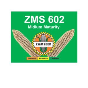 ZMS 602-25Kg