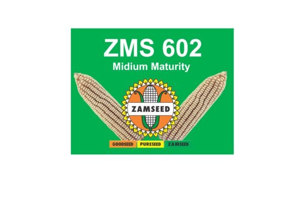ZMS 602-25Kg