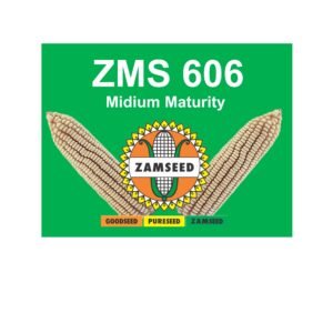 ZMS 606-25Kg