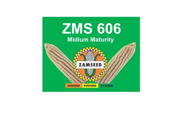 ZMS 606-10Kg