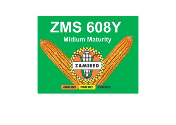 ZMS 608Y-25Kg
