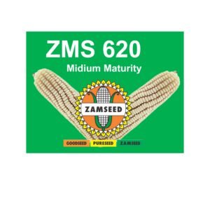 ZMS 620-10Kg