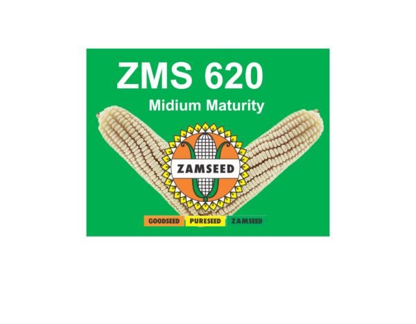 ZMS 620-5Kg