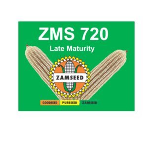 ZMS 720-5Kg