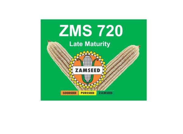 ZMS 720-2Kg