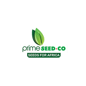 Primeseedco- Mustard Mpilu 10g