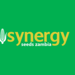 Synergy-Logo-png-1.png